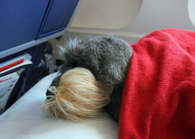 Vaino nukkuu Vaino nukkuu