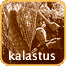 kalastus