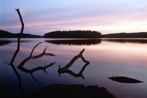  Seppo Sarkkinen / YLE