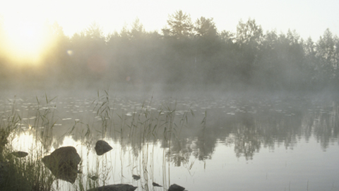 Järvimaisema. Pentti Aherva / YLE