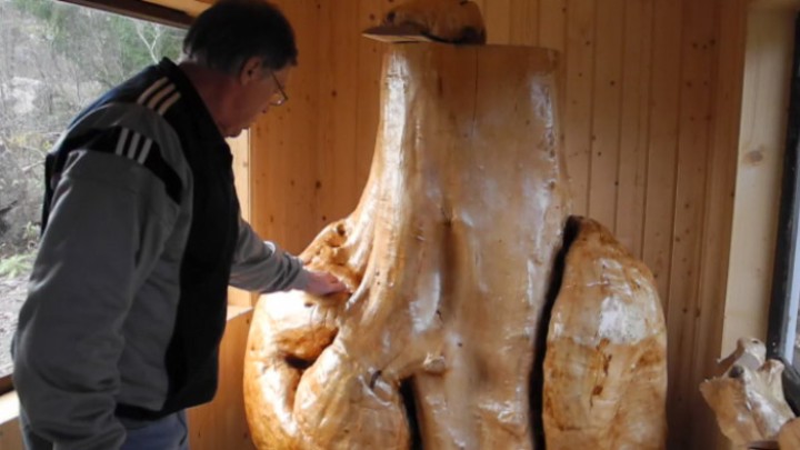 Järkälemäinen koivupahka | Metsäradio.