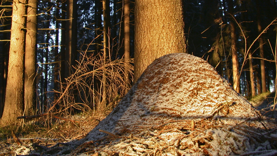 Minna Pyykön maailma: 19.10.2013 09.15