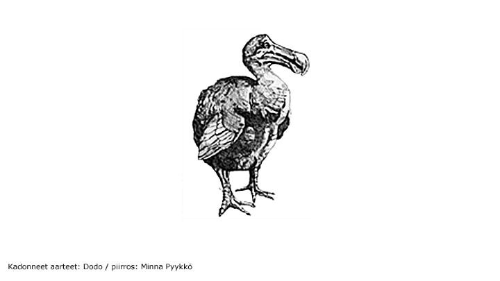 Kadonneet aarteet: Dodo
