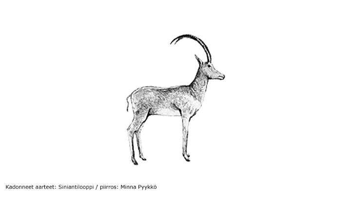 Kadonneet aarteet: Siniantilooppi