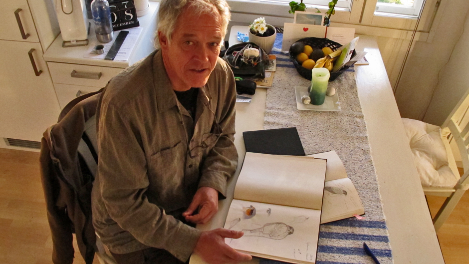 Minna Pyykön maailma: Petolintuja piirtämässä