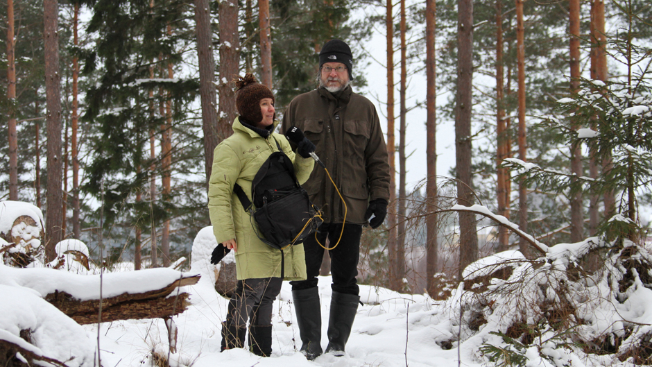Minna Pyykön maailma: Heikki Willamon talvi hirviperheen ulkojäsenenä