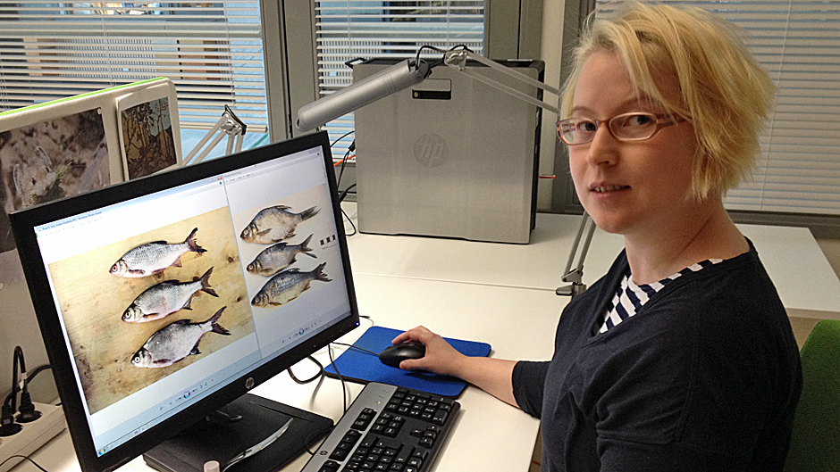 Luontoretki.: Omituinen särkilahna