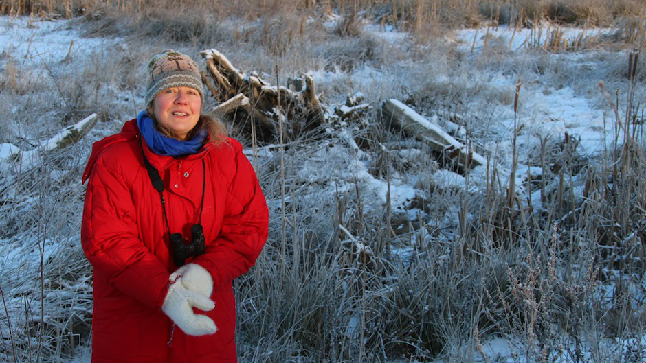 Luontoretki.: Vaivaishiiriä etsimässä