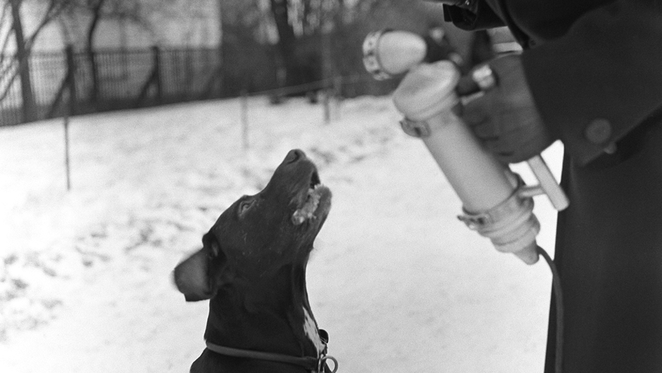 Teemaillat: Äänien ilta