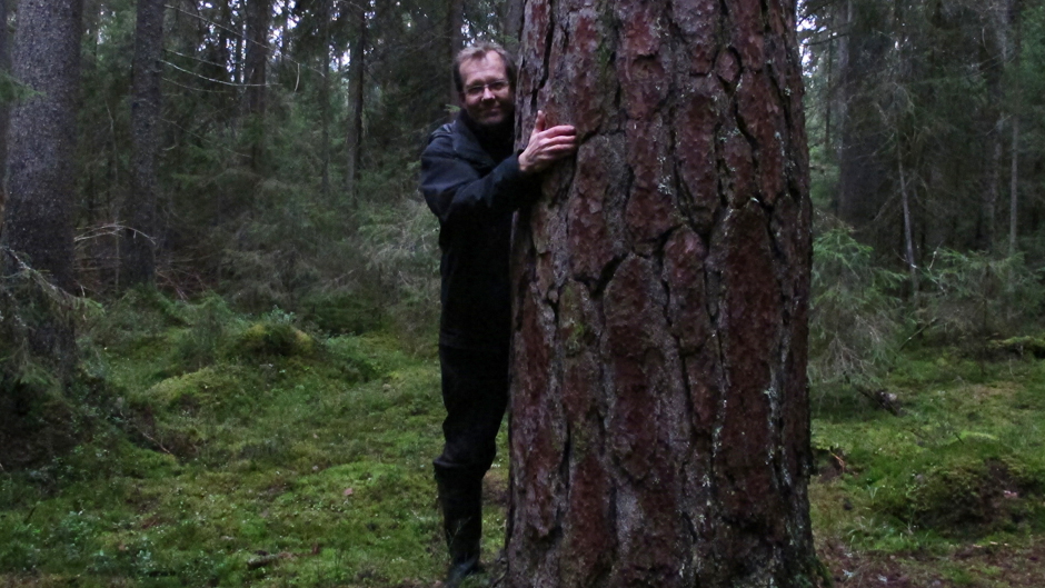 Minna Pyykön maailma: Löytyykö suomalaisuus metsästä?