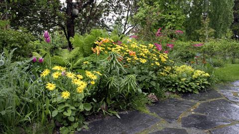 Perhosbaari 25.5.2010 - kuvia lähetyksestä