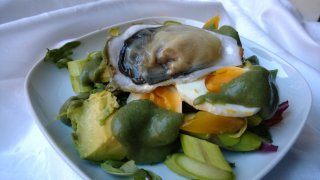 Avokadosalaatti osterilla