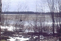 Kuva: Koij�rvi kev��ll� 1979. YLE kuvanauha.