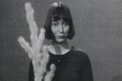 Kuva: Maija Asikainen virpoo itsetekem�ll��n varvulla. YLE kuvanauha.