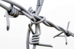 Kuva: AP Graphics Bank.