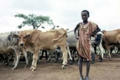 Kuva: Jarkko Juselius
YLE