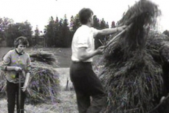 Kuva: Radion v�ke� hein�talkoissa. (1956) YLE kuvanauha.