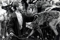 Kuva: Lappi. (1971) Raimo Paakkanen. 