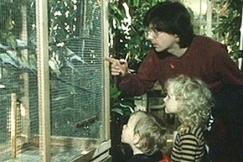 Kuva: Kirka osoittaa lapsilleen lintuh�kki�. YLE kuvanauha. 