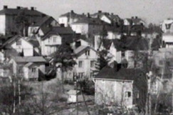 Kuva: Puu-Pasila. YLE kuvanauha.