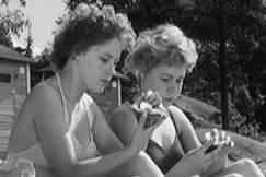 Kuva: Auingosta voi nauttia monella tavalla. YLE kuvanauha.