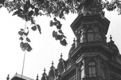 Kuva: Koristeelliset rakennukset reunustavat Espan puistoa. YLE kuvanauha.