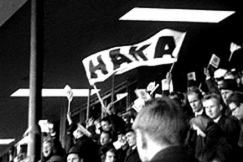 Kuva: Hakan kannattajia jalkapallokatsomossa. (1963) YLE kuvanauha.