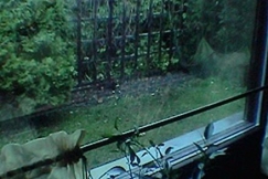 Kuva: N�kym� ikkunasta puutarhaan. YLE kuvanauha. 