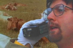 Kuva: Der Paavo laitumella. YLE kuvanauha.