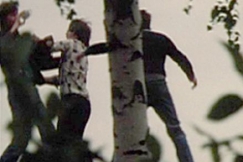 Kuva: Remuava miessakki kes�illan idylliss� (1977). YLE kuvanauha.