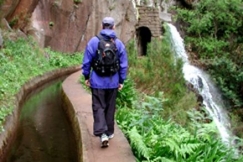 Kuva: K�velij� Madeiran levadalla. 4.2001. Arja Lento.