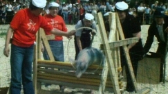 Kuva: Sikojen SM-taitokilpailu Orimattilassa (1983). YLE kuvanauha.