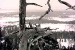 Kuva: Lapin matkailun tulevaisuutta maalailtiin synkin s�vyin 1970-luvulla. YLE kuvanauha.