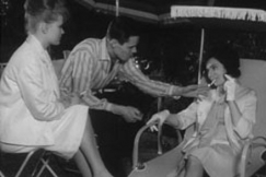 Kuva: Muotin�yt�s Kasvitieteellisess� puutarhassa (1962) YLE kuvanauha