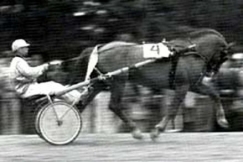 Kuva: Kaarlo Partanen ja Vieteri. YLE kuvanauha.