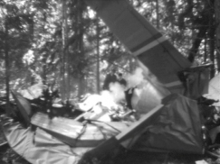 Kuva: Koivulahden lento-onnettomuus (1961) Yle kuvanauha.