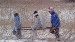 Kuva: Minh piirt�� leijonaa. YLE kuvanauha 1986. 