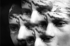 Kuva: Kuvamanipulaatio. Arja Lento/YLE.