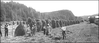 Heinpellolla Impivaarassa, 1920-luku. Kuva: Seppo Rapon kokoelma.