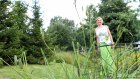 Puku sopii kesään täydellisesti (kuva: Yle)