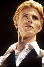 The Thin White Duke