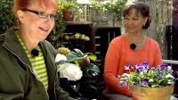 Pihasuunnittelija Maija Pelkonen Puutarhaunelmien vieraana. Kuva: Filmiteollisuus