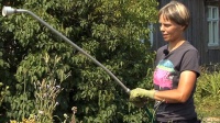 Ekopuutarhuri Elisa Laine vastaa Puutarhaunelmien katsojien kysymyksiin. Kuva: Filmiteollisuus