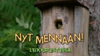 nm_leikkipuistossa_1.jpg