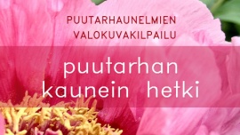 Puutarhan kaunein hetki -valokuvauskilpailun satoa, 2. kuvagalleria. 