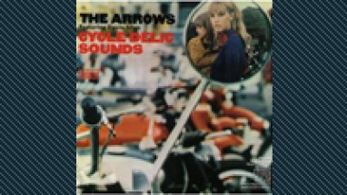 Davie Allan and The Arrows: Cycle-delic Sounds (Kuva: )