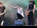 Raised Fist
