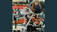 Davie Allan and The Arrows: Cycle-delic Sounds
