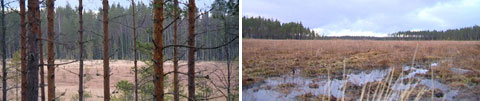 copyright YLE/videokuvaa