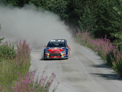 Loeb Kaipolanvuoren maisemissa.